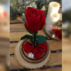 رز جاودان دیو و دلبر قرمز