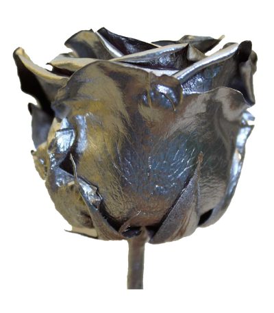 سر گل رز جاودان نقره ای