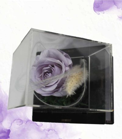 رز جاودان یاسی