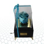 رز جاودان آبی
